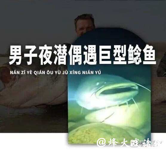 男子夜潜12米深水库,偶遇巨型鲶鱼,鱼嘴比人头都宽!网友:这鱼会吃小孩! 男子夜潜12米深水库,偶遇巨型鲶鱼,鱼嘴比人头都宽!网友:这鱼会吃小孩!